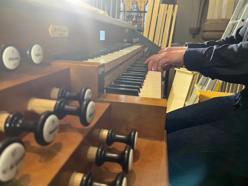 Orgel